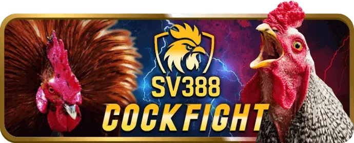 Giao diện 89bet07 thân thiện và dịch vụ hỗ trợ khách hàng 24/7